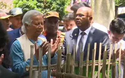 আবু সাঈদের কবর জিয়ারত করলেন প্রধান উপদেষ্টা ড. ইউনূস