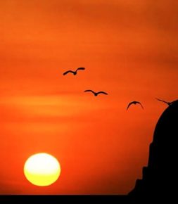 আজ পবিত্র শবে-বরাত