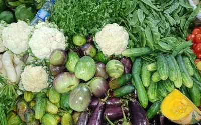 বাজারে নিত্যপণ্যের দামে বড় পরিবর্তন নেই